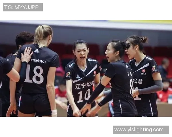 西安排球队速度引发热议球迷对比赛节奏的不同看法分析